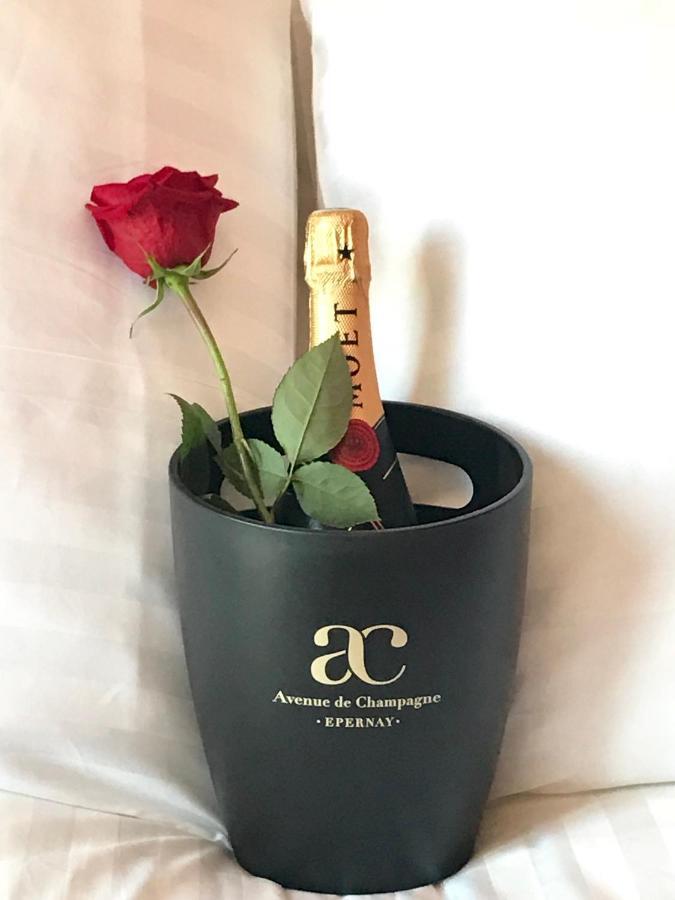 Le Secret De Louise Apartment Epernay Bagian luar foto